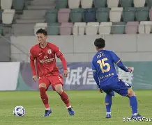 星空体育馆-陕西队在客场比赛中勇夺胜利(陕西队在客场比赛中勇夺胜利视频)