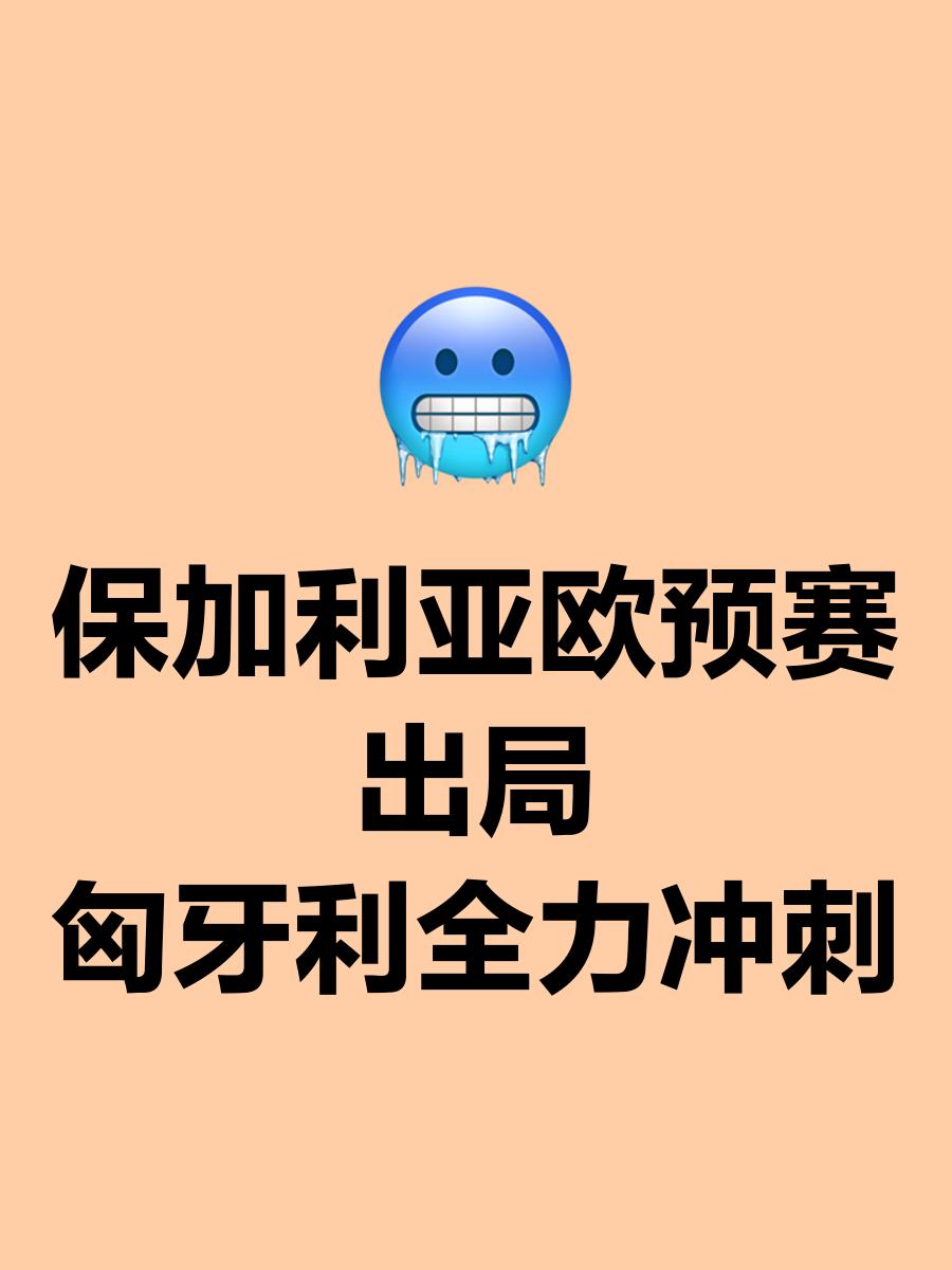 包含匈牙利队在欧预赛中发挥稳定，力争晋级的词条