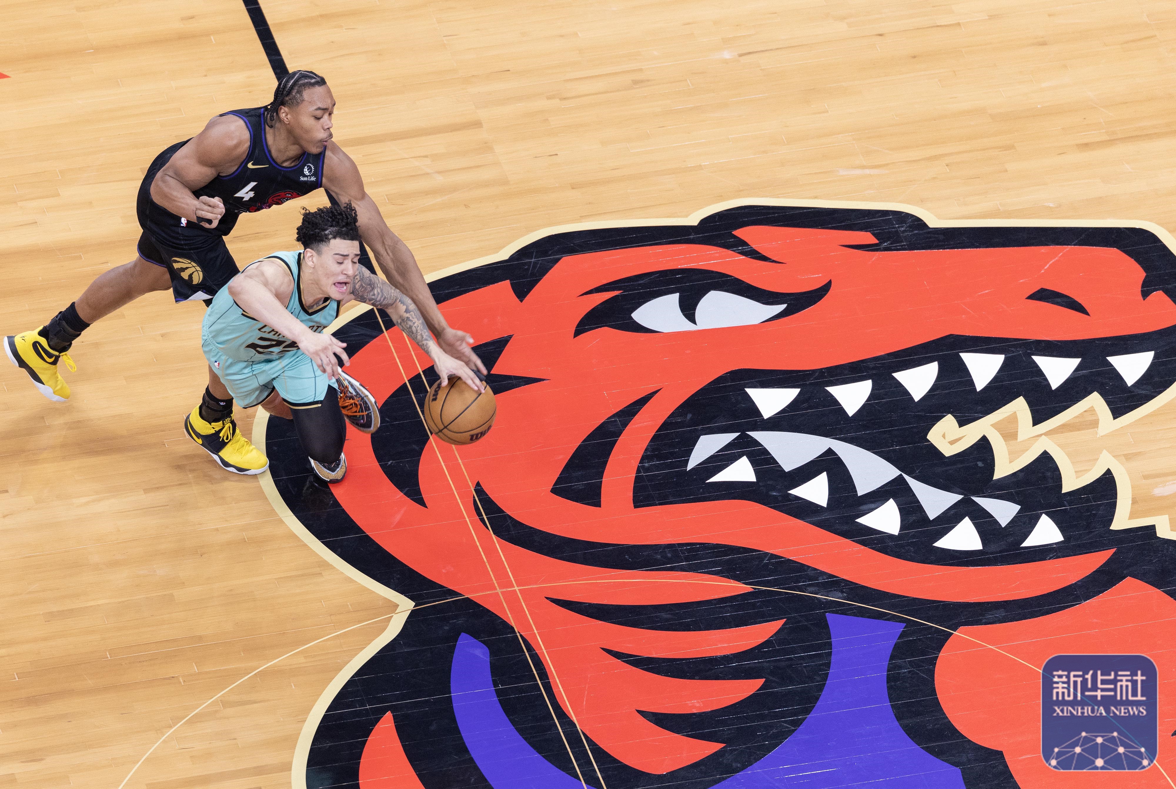 黄蜂大胜开拓者,击败对手轻松获胜 黄蜂大胜开拓者,击败对手轻松获胜